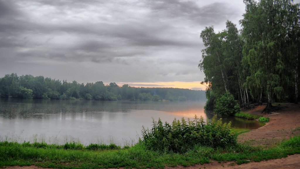 Peaceful morning calm lake with lush trees nettle patch soft clouds and gentle sunlight horizon Wallpaper