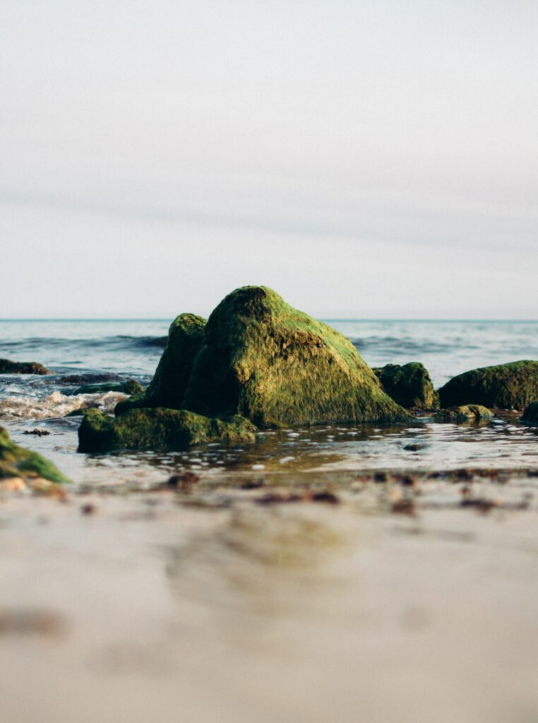 Mossy rocks in shallow coastal water with calm sea and pale sky serene natural wallpaper background