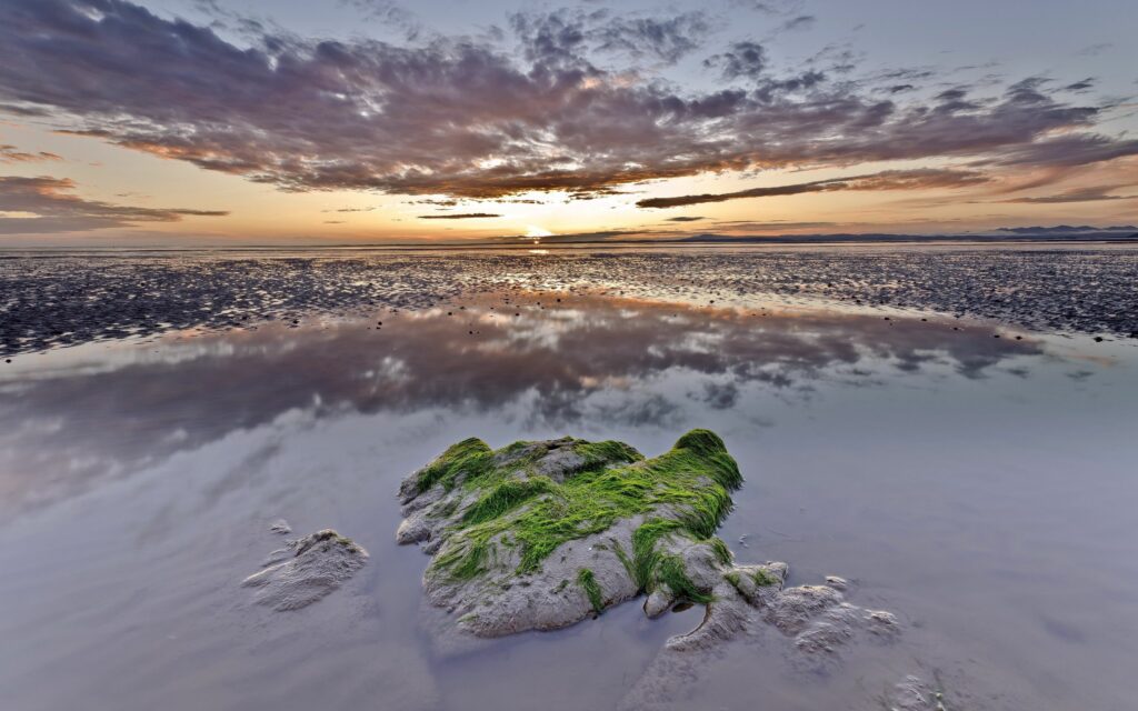 Tranquil moss-covered stone in calm pool reflecting twilight clouds and pastel sky serenity wallpaper