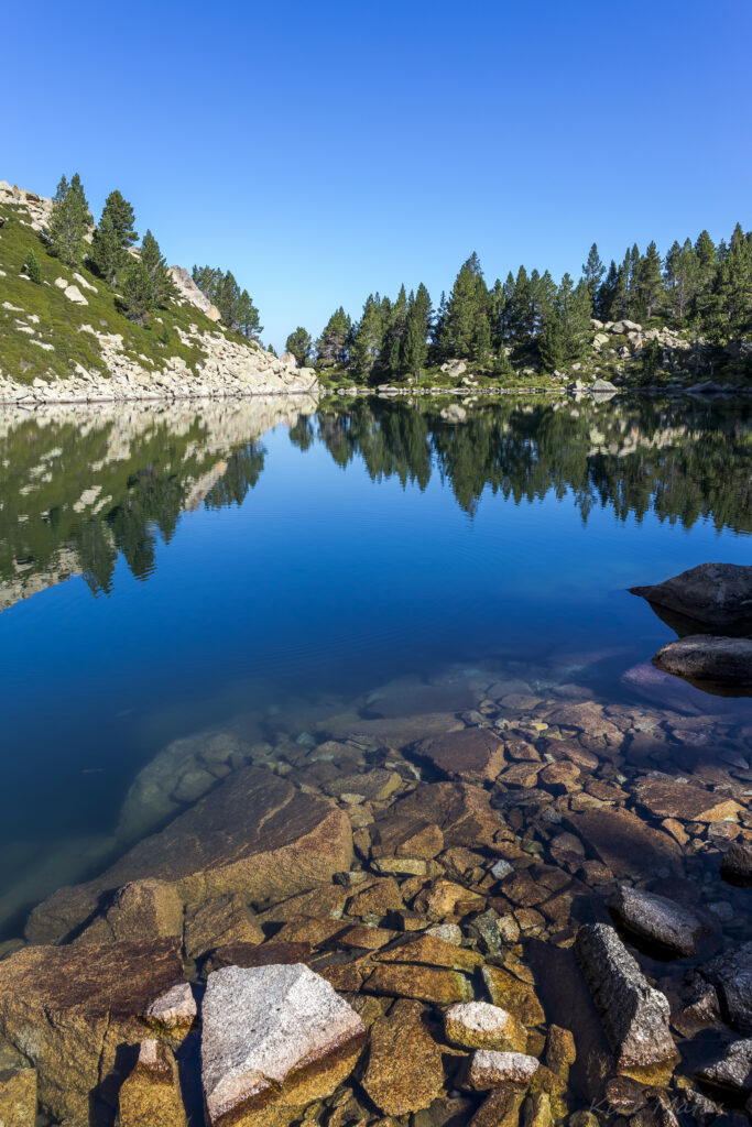 Serene mountain lake reflecting green trees and blue sky with clear water and smooth stones Wallpaper