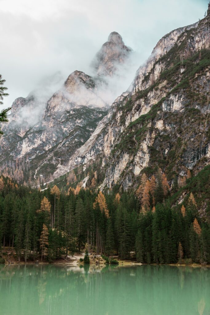 Tranquil mountain lake with lush pine trees and misty rugged peaks in soft earthy tones wallpaper