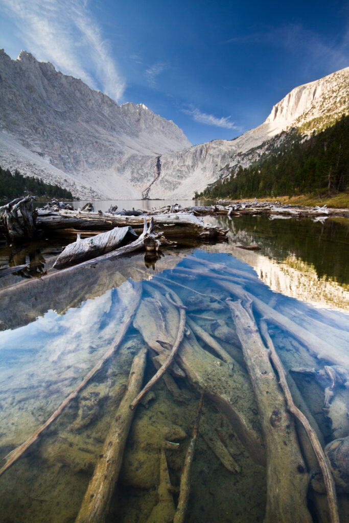 Tranquil mountain lake with clear water submerged logs rugged peaks dense forest vivid sky Wallpaper