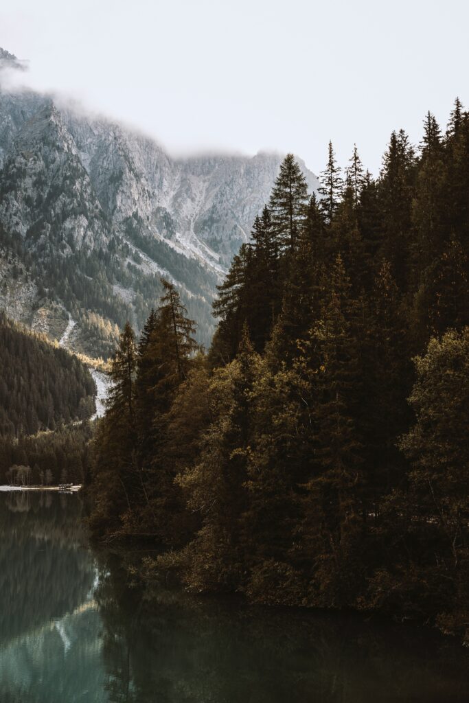 Serene forest with tall spruce trees reflected in calm mountain lake under misty foggy peaks Wallpaper
