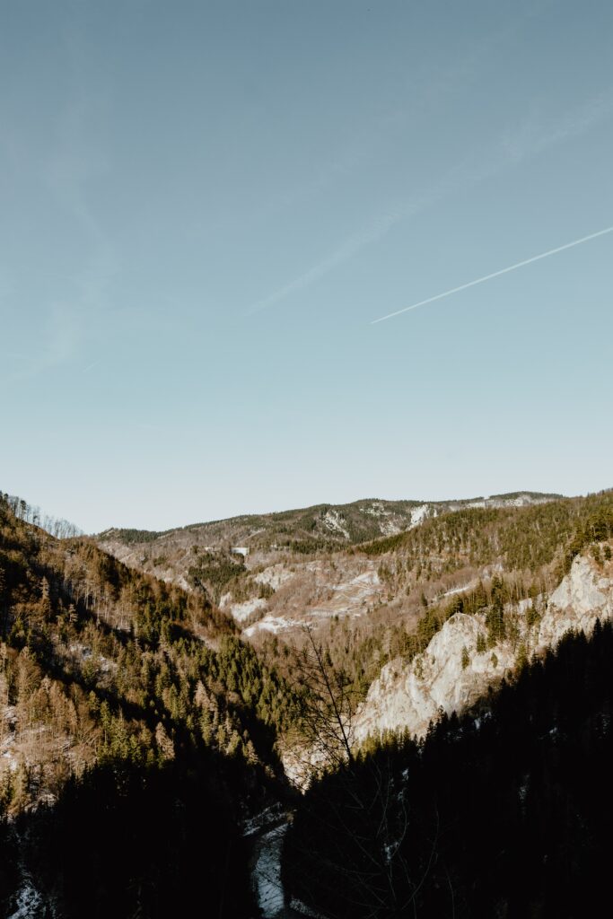 Aerial view of rugged mountains with tree-covered slopes under soft natural light and clear sky Wallpaper