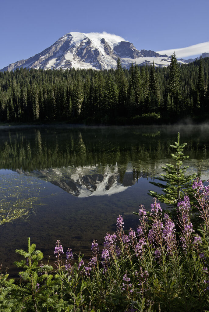 Snow-capped mountain reflected in clear lake with green forest and colorful wildflowers wallpaper