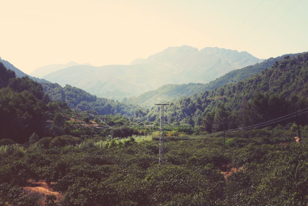 Serene wallpaper of rolling mountains lush green trees and utility wires in soft natural sunlight