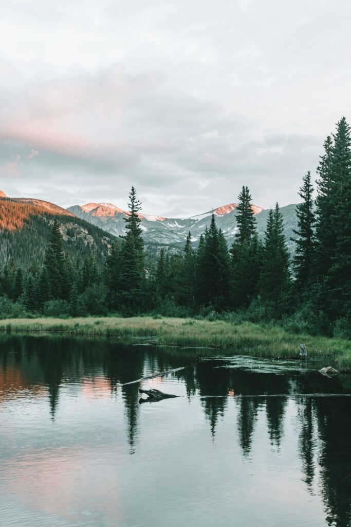 Tranquil mountain landscape with spruces reflected in calm lake under pastel sky wallpaper