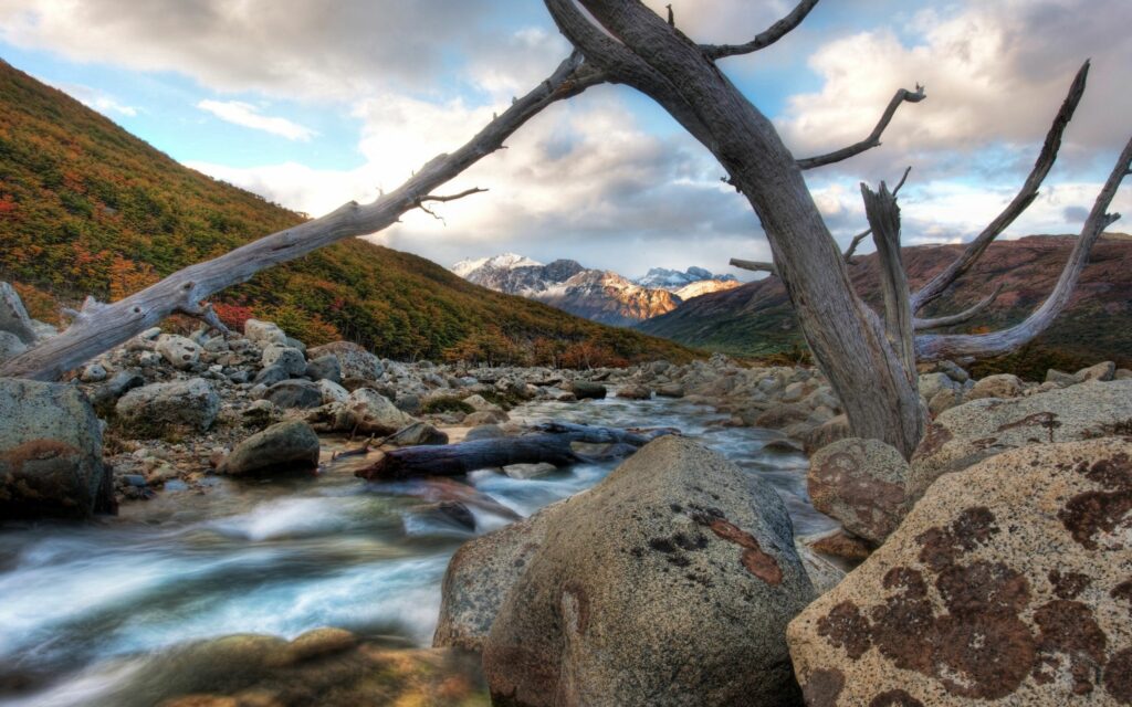 Tranquil mountain river flowing over smooth stones framed by weathered dead tree and peaks Wallpaper