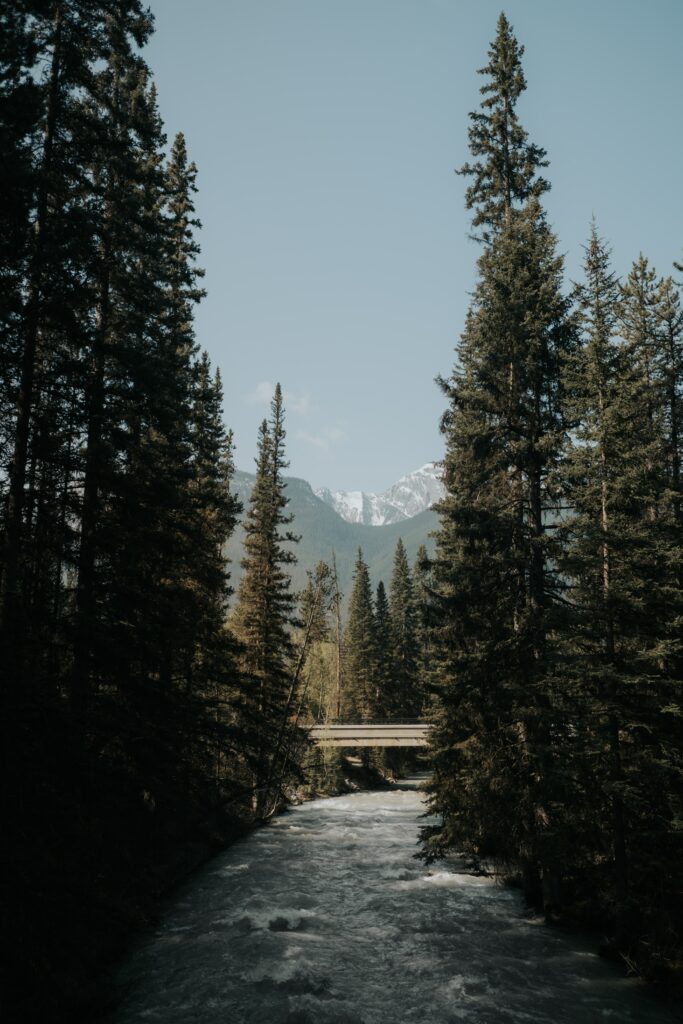 Serene river with rustic bridge surrounded by evergreen trees and snow-capped mountains wallpaper