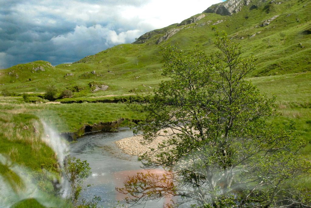 Serene landscape with winding stream lush green mountains vibrant tree and cloudy sky wallpaper