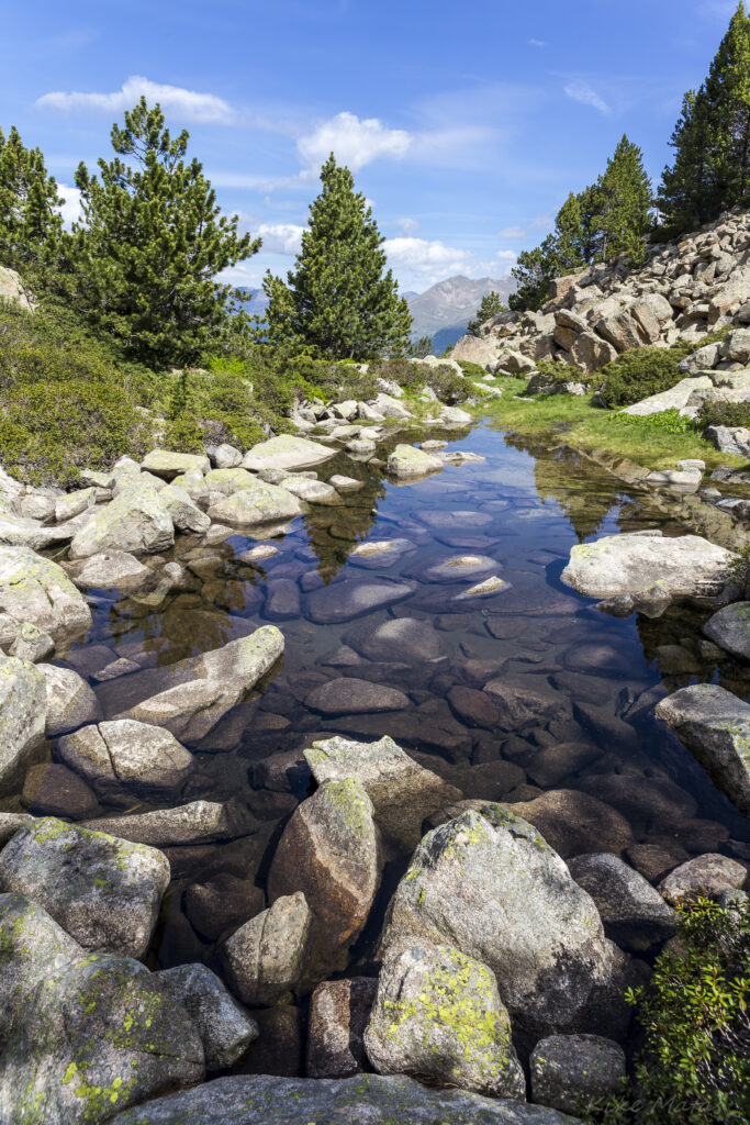 Tranquil mountain stream flowing over stones with lush trees and rocky slopes under blue sky Wallpaper