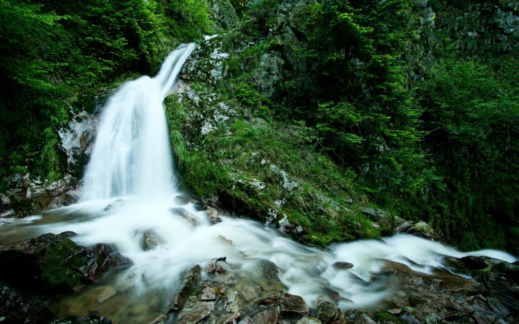 Crystal clear stream cascading over mossy rocks with lush trees and rugged mountains background Wallpaper