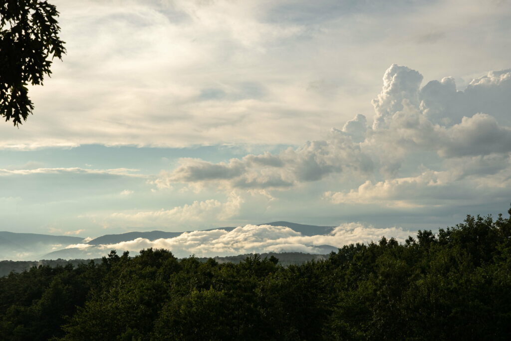 Tranquil HD Wallpaper: Lush Landscape with Clear Sky & Rolling Hills