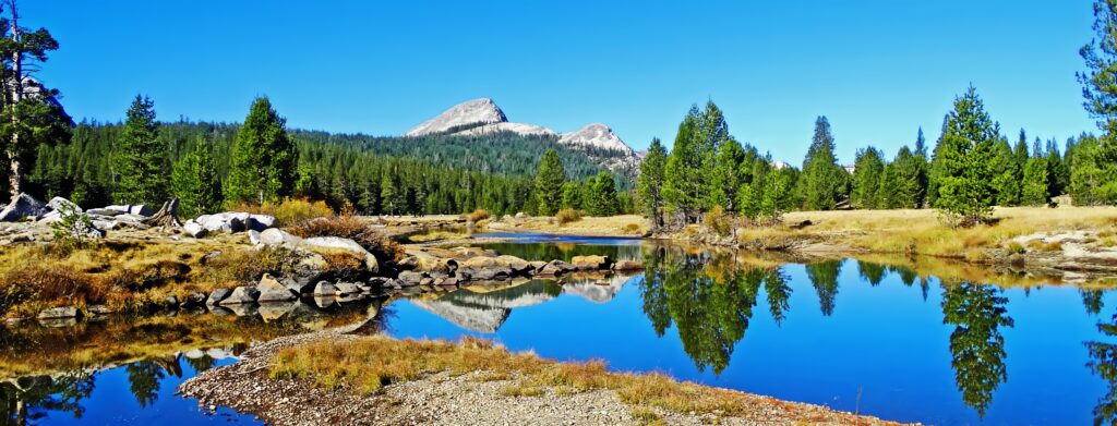 Calm river reflecting lush green trees and distant mountains under clear blue sky landscape wallpaper