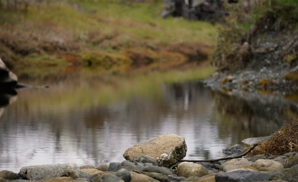 Calm natural landscape with smooth stones and a tranquil pond in soft green and brown tones Wallpaper