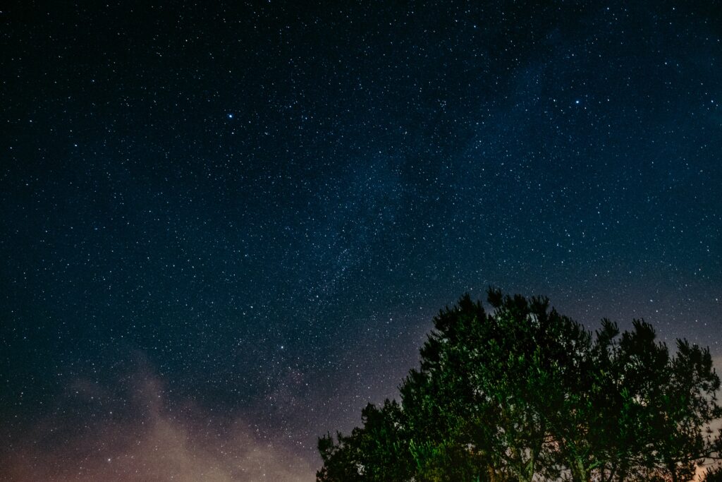 Tranquil night sky wallpaper with lush tree silhouette and twinkling stars in deep blue gradient