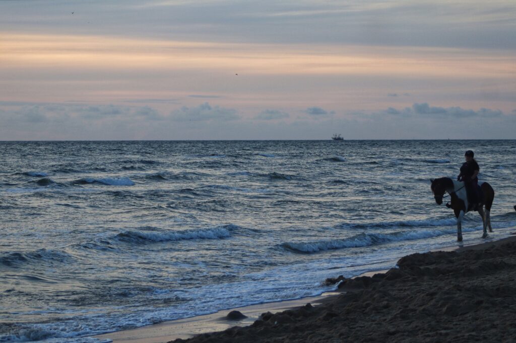Tranquil North Holland sunset with sea waves distant ship and horseback rider on sandy shore Wallpaper