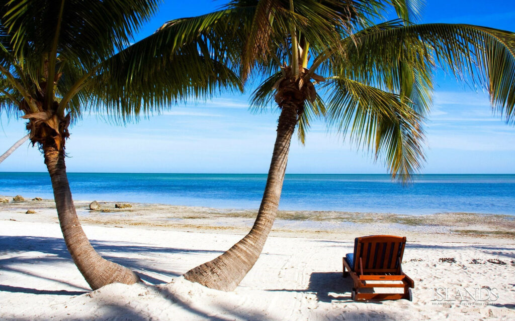 Tranquil Montego Bay: Serene Beachscape with Palm Trees and Beach Lounger Wallpaper