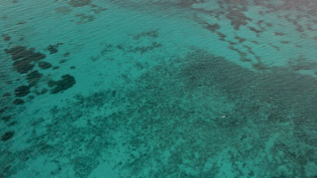 Aerial view of ocean with vibrant blue green hues and textured underwater scenery wallpaper background