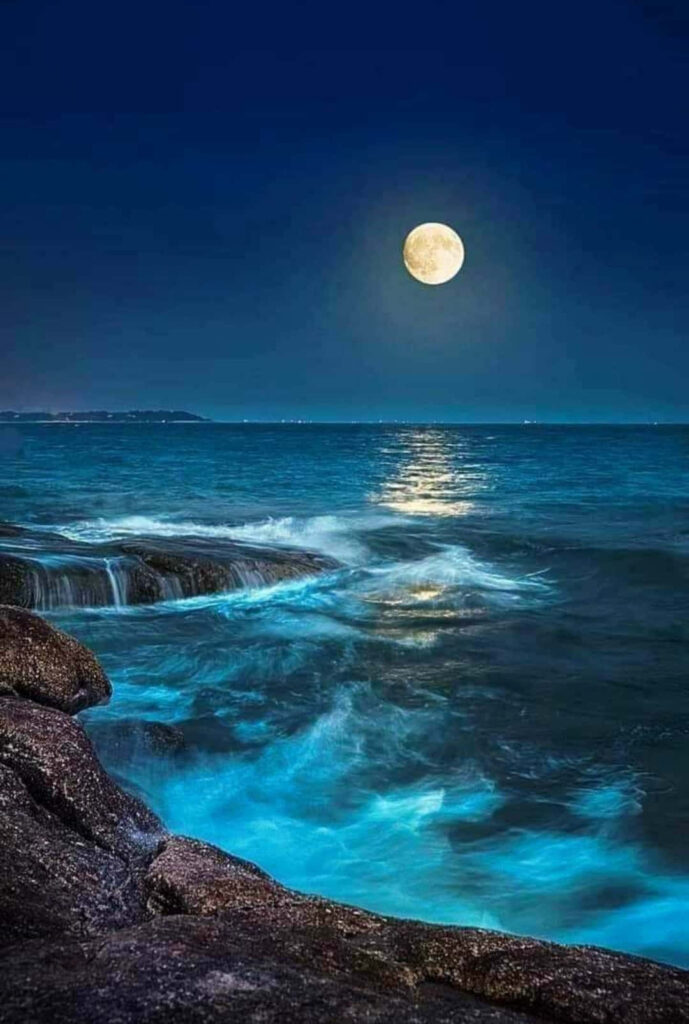 Moonlit Ocean Waves: Serene Wallpaper Background for Tranquil Vibes