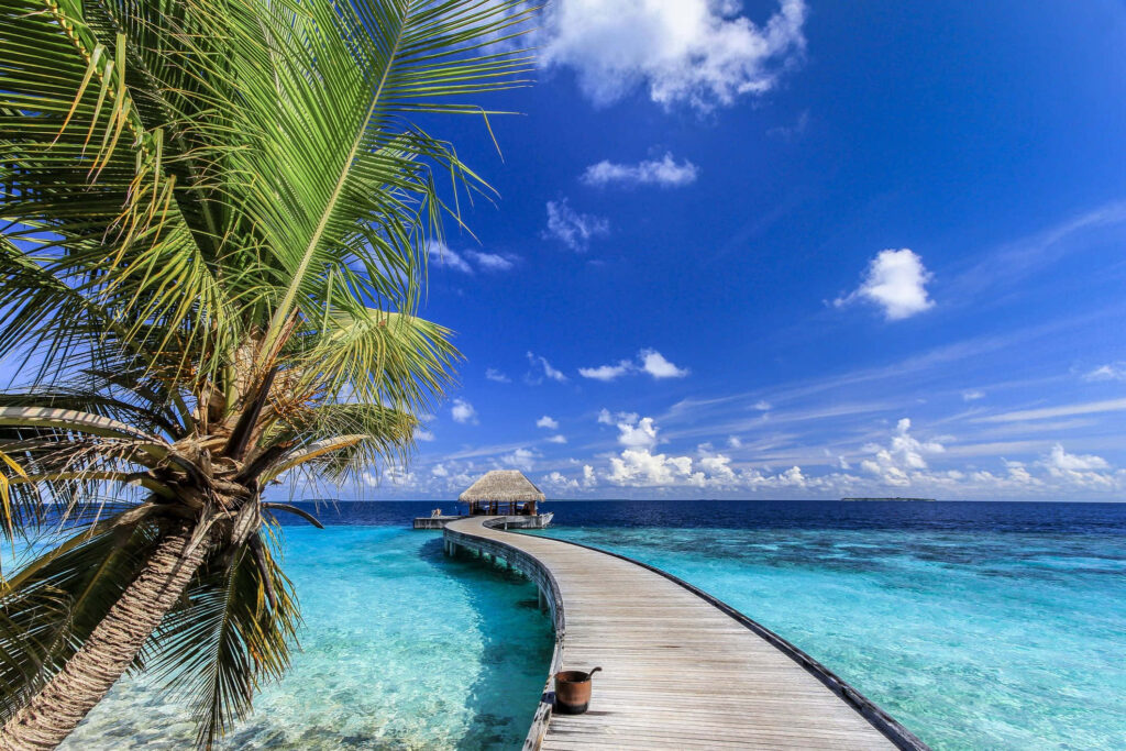 Curved Beach Boardwalk Over Turquoise Waters: Paradise Awaits Wallpaper