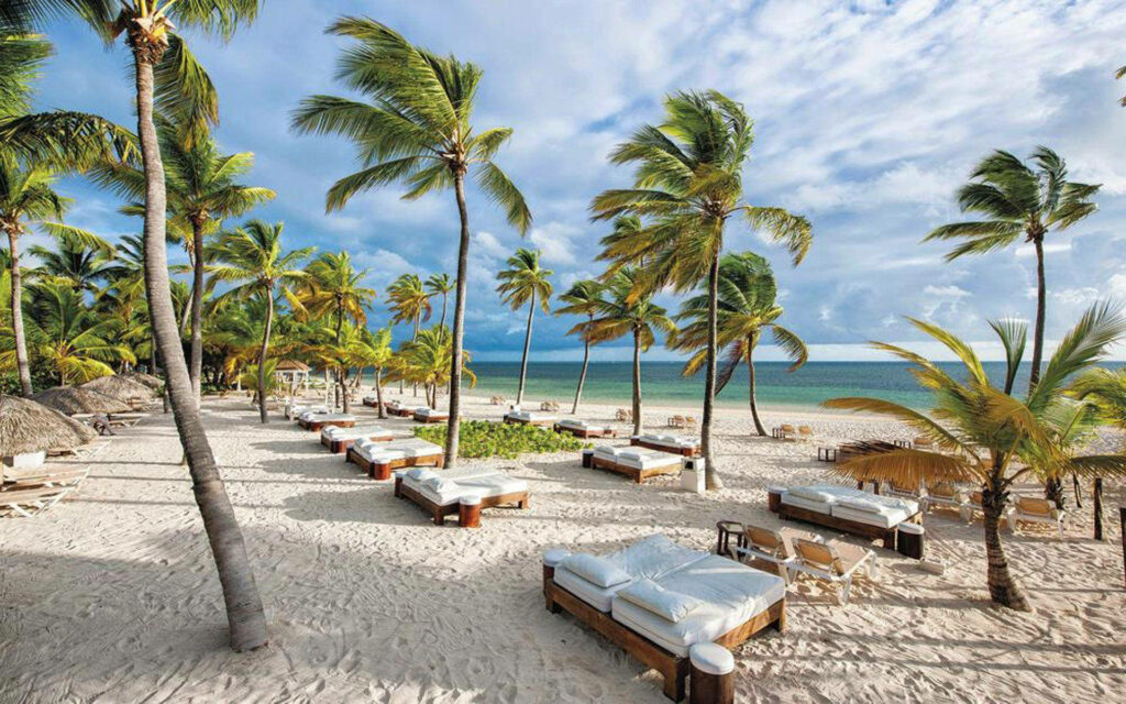 Caribbean Serenity: Palm-fringed Paradise in the Dominican Republic Wallpaper