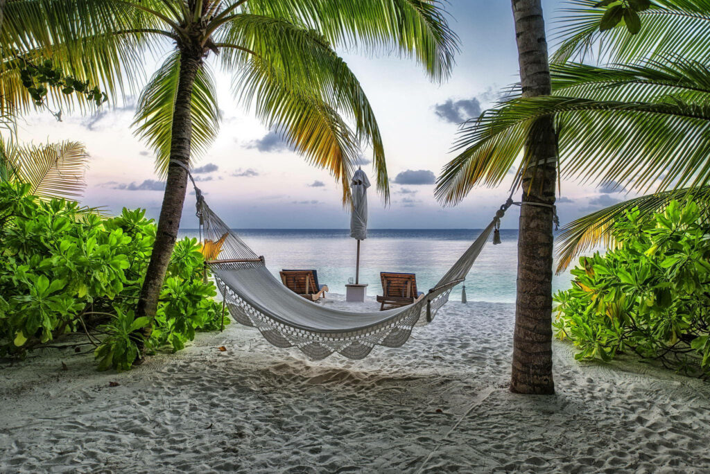 Indulge in Paradise: A Serene White Hammock Amidst Tropical Palm Trees on a Majestic Maldives Beach Wallpaper