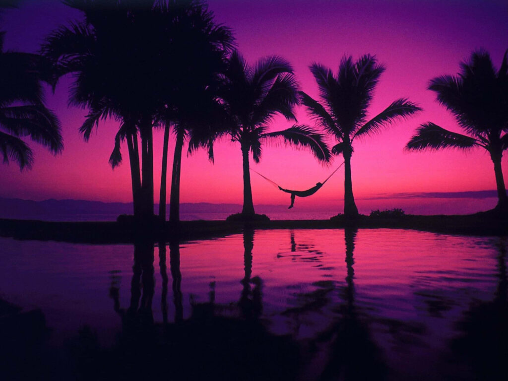Serene Tropical Sunset: Fuchsia Sky & Palm Trees in Paradise Wallpaper