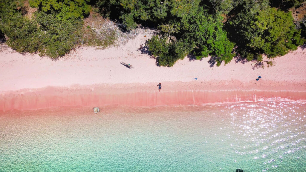Tranquil Pink Beach: Aerial View with Lush Green Trees & Turquoise Waters Wallpaper