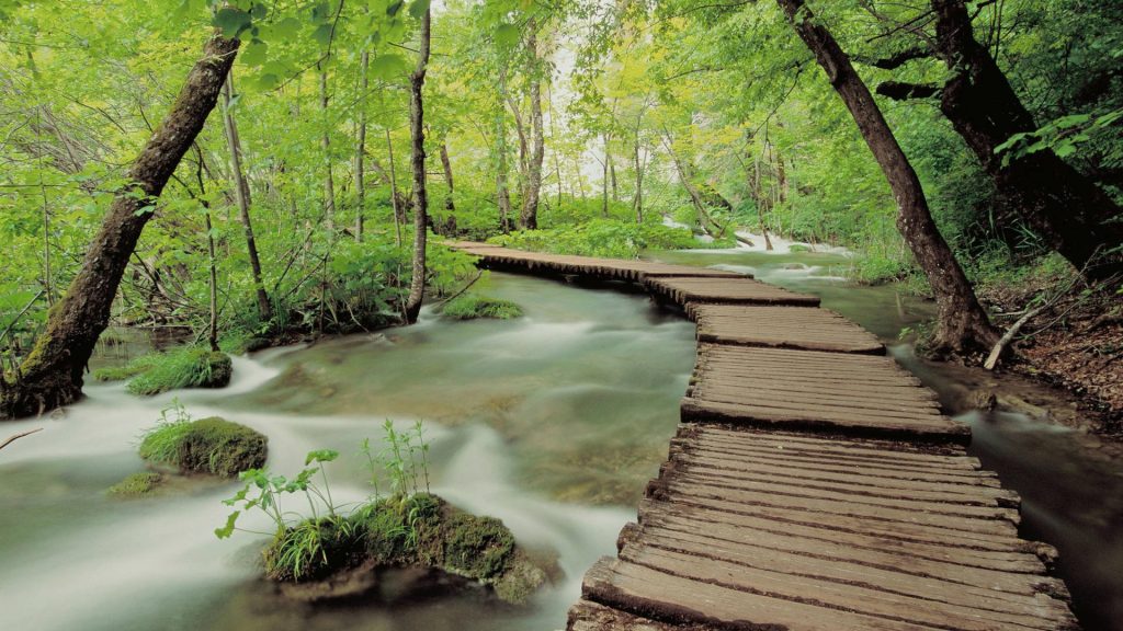 Rustic wooden path over stream in lush Plitvice Lakes forest nature wallpaper background