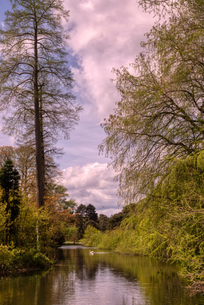 Tranquil pond with lush green trees and vibrant foliage under a soft cloudy sky wallpaper