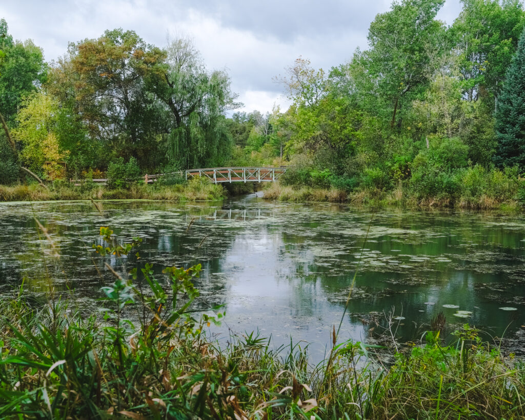 Tranquil landscape wallpaper with reflective pond lush green trees and white bridge background