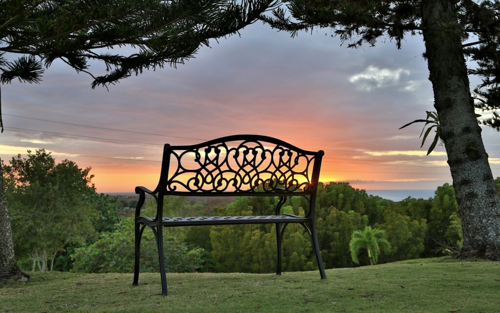 Decorative iron bench on grassy hill in Puerto Rico at sunset with lush trees and green landscape Wallpaper
