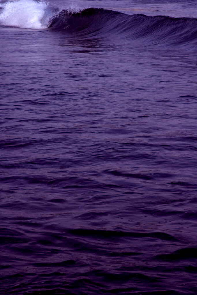 Purple wave rolling over tranquil sea with soft spray serene dynamic natural wallpaper background