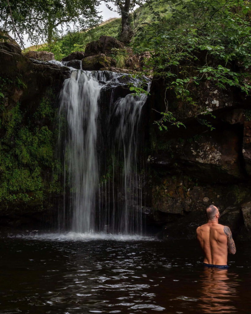 Tranquil River Bathing: Serene Wallpaper with Lush Greenery