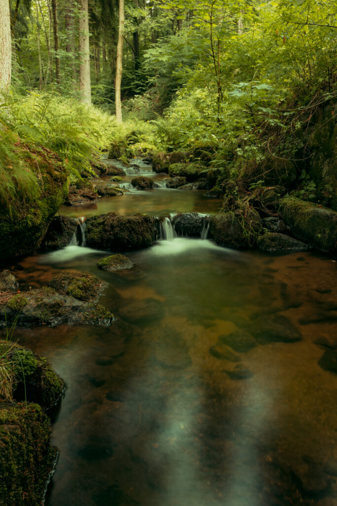 Serene river flowing over mossy rocks in lush green forest with soft sunlight and tranquil water Wallpaper