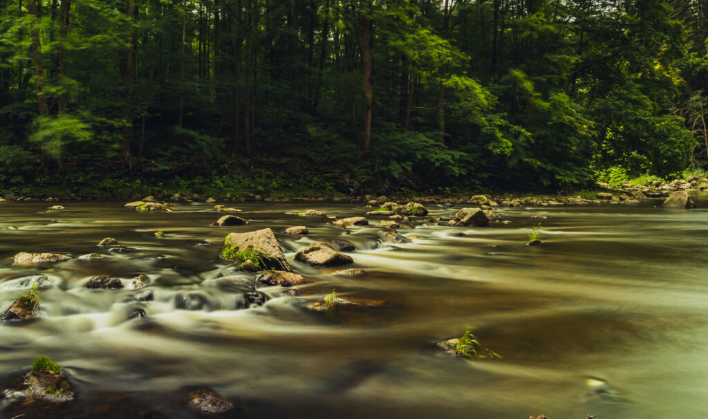 Tranquil river flowing over smooth stones with lush green trees long exposure nature wallpaper