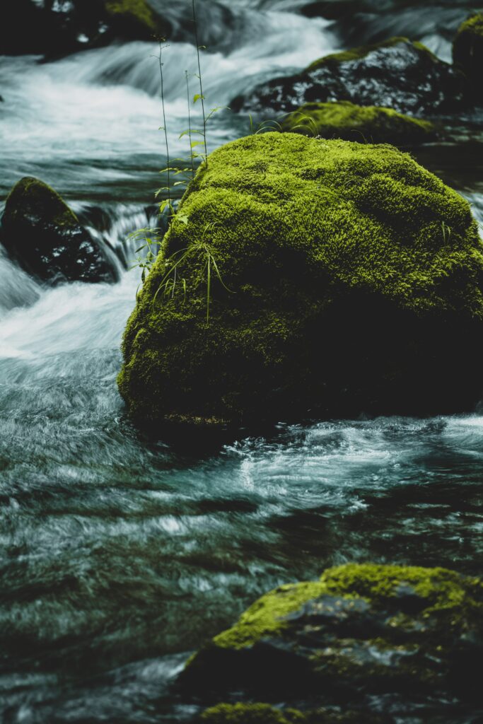 Tranquil river flowing gently around mossy stone vibrant green moss peaceful stream wallpaper background
