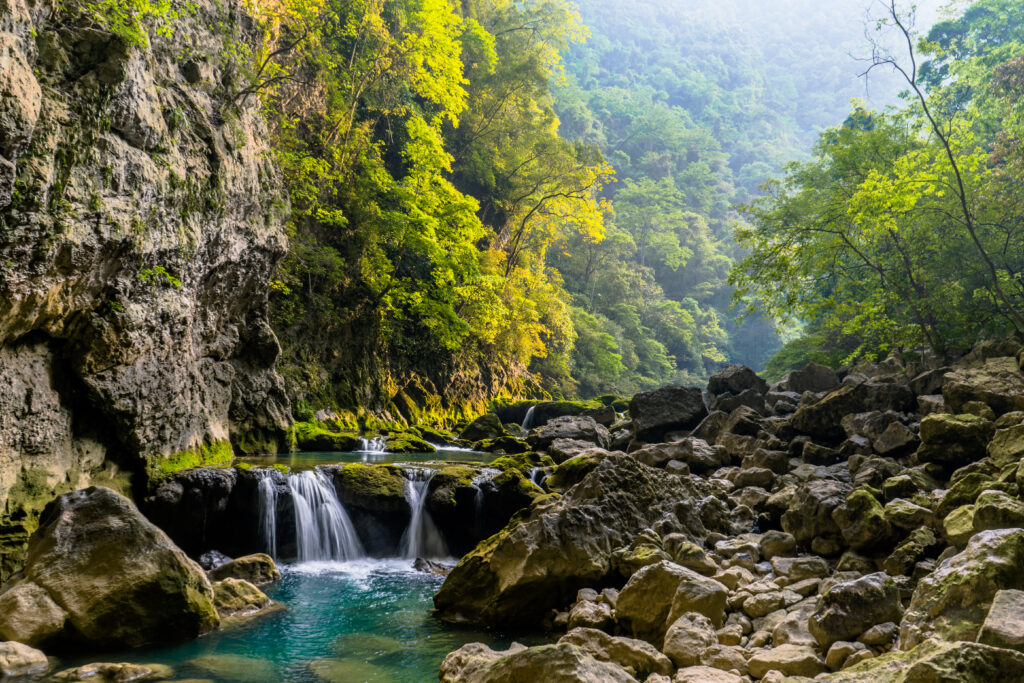 Serene river flowing over rocks with lush green trees and natural light in peaceful landscape Wallpaper