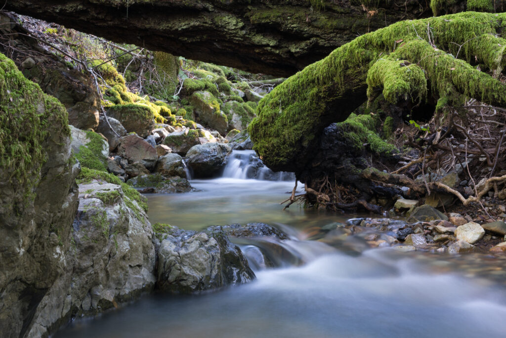 Tranquil river flowing over smooth stones with lush moss and vibrant greenery peaceful nature Wallpaper