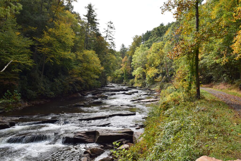 Tranquil river flowing through lush green trees over smooth rocks serene natural wallpaper background