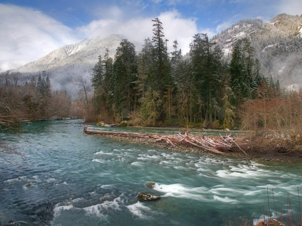 Tranquil river flowing through dense fir forest with mist and majestic mountain backdrop wallpaper