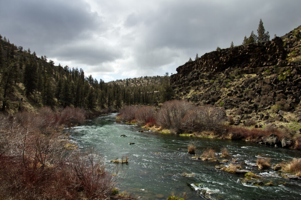 Tranquil river flowing through rugged mountains with tall pine trees and dramatic clouds wallpaper