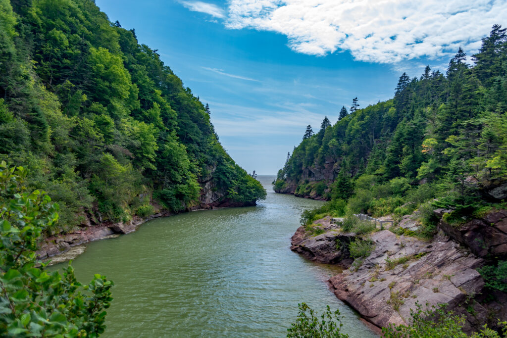 Tranquil river flowing through lush green forest with rugged rocks under bright blue sky wallpaper