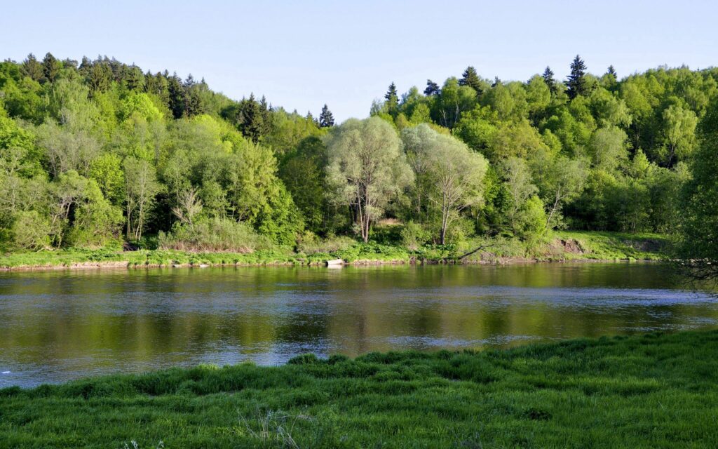 Calm river with lush green grass and dense trees reflecting vibrant foliage in soft sunlight Wallpaper