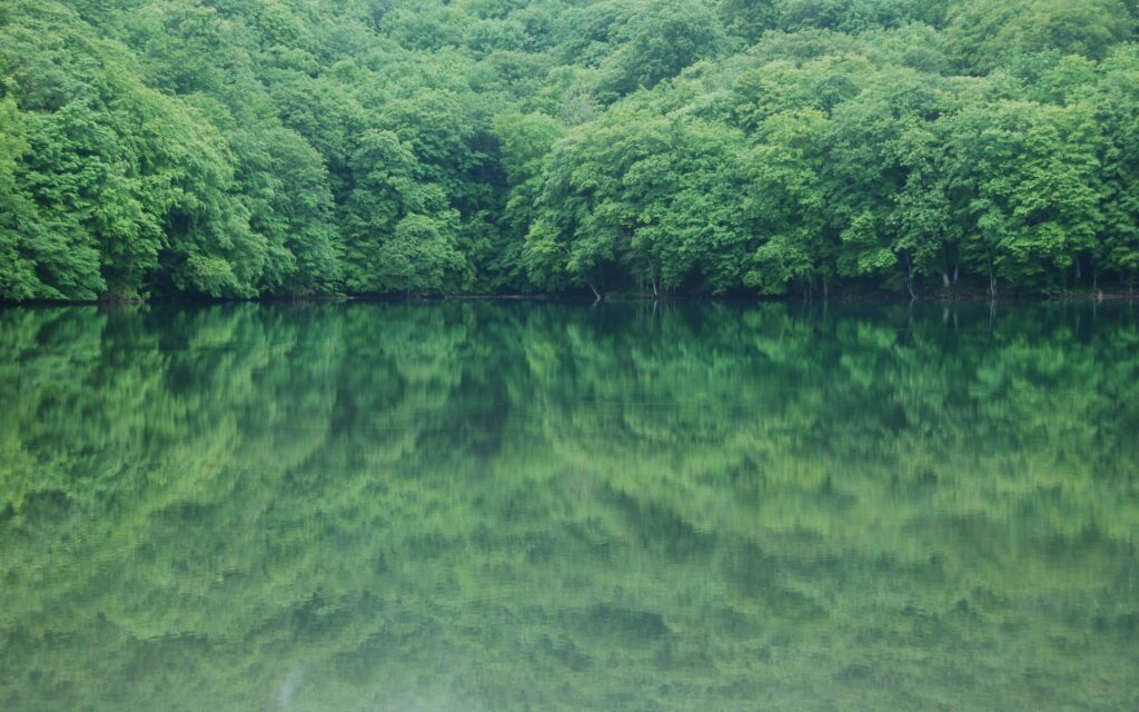 Serene river with lush green trees reflecting perfectly in calm glassy water peaceful forest wallpaper