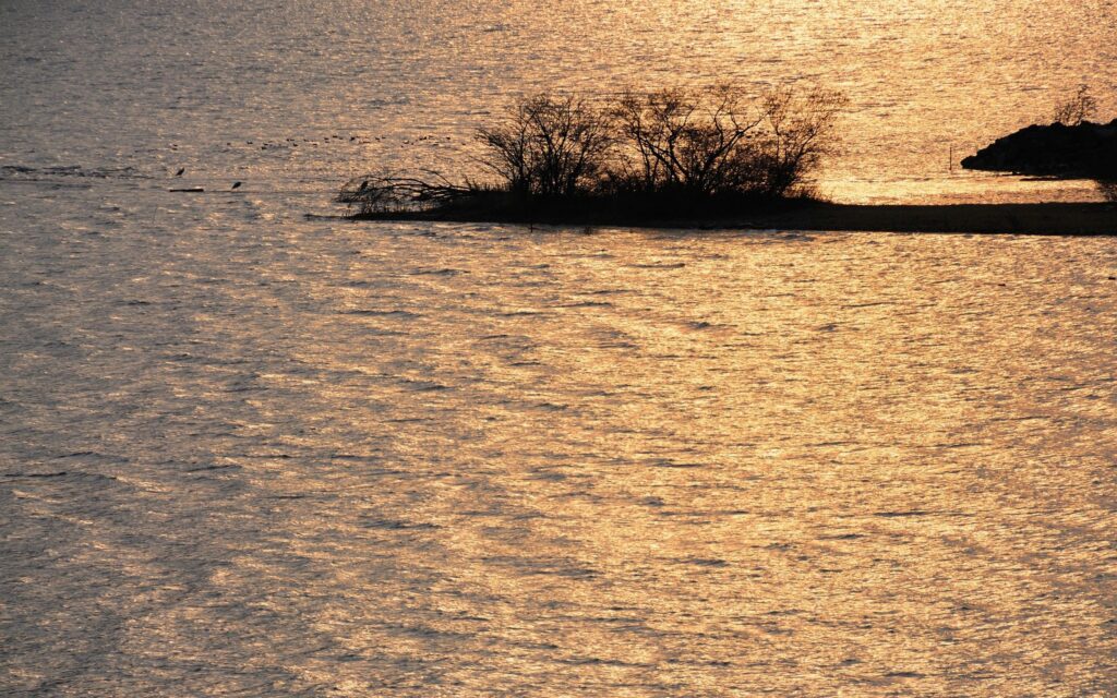 Tranquil river with golden sunlight reflecting on water and green grass along the riverbank wallpaper