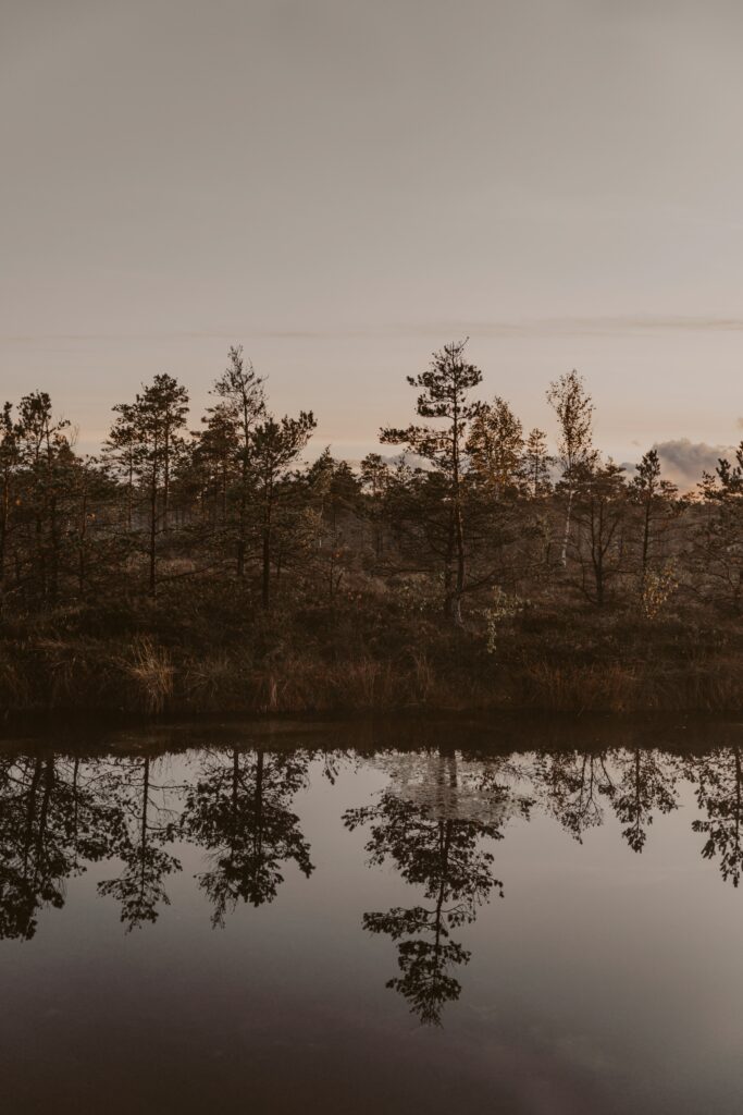 Tranquil river with slender tree silhouettes reflected in calm water serene natural landscape wallpaper