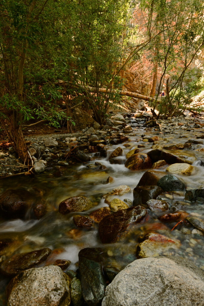 Peaceful river flowing over colorful stones surrounded by green trees and soft sunlight wallpaper