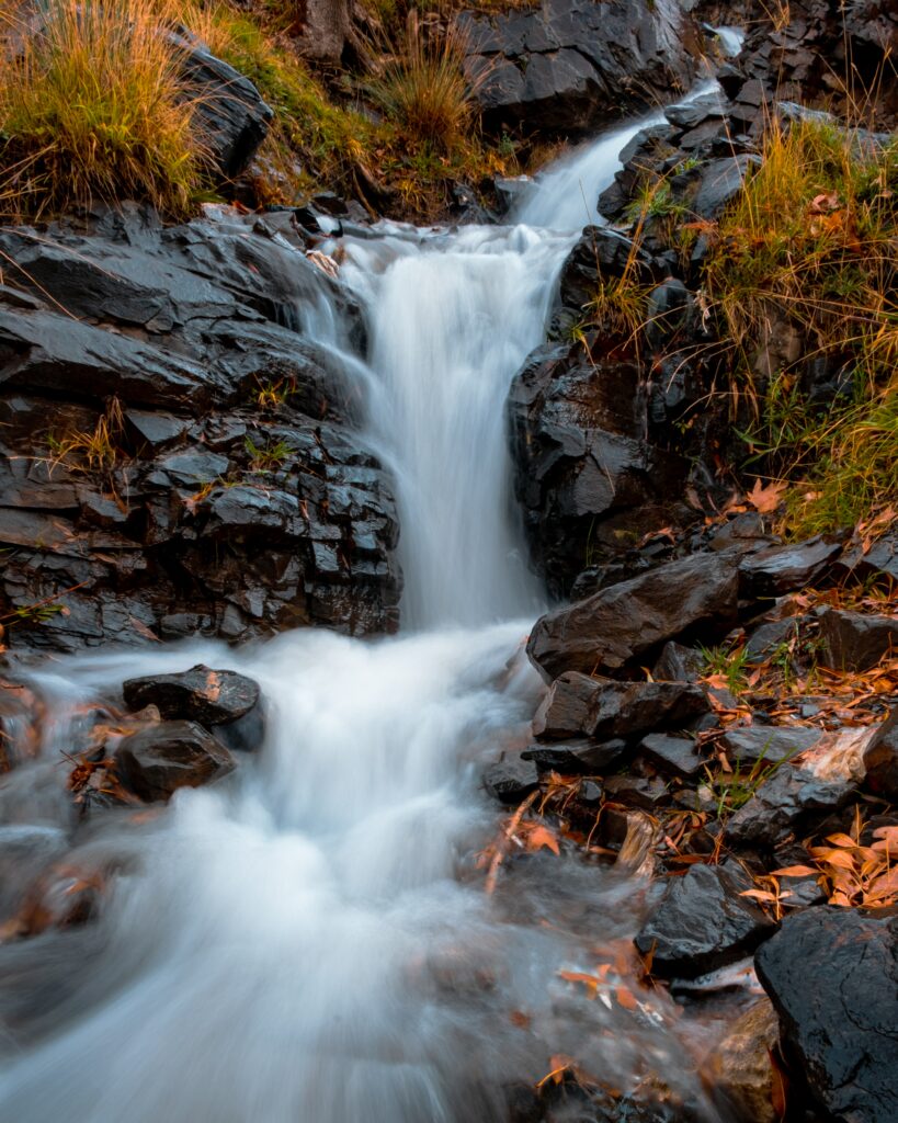 Serene river stream flowing over dark stones with green grass and autumn leaves wallpaper background